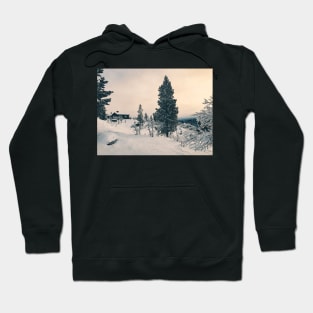 Wintertime - Cabin in Snow-Covered Scandinavian Winter Landscape Hoodie